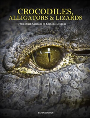 Crocodiles, Alligators & Lizards: From Black Caimans to Komodo Dragons