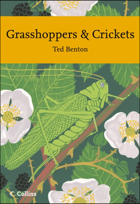 Grasshoppers and Crickets