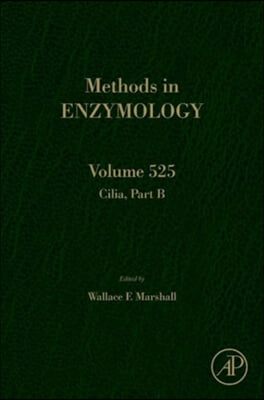 Cilia, Part B: Volume 525