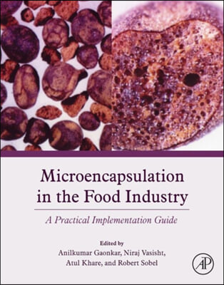 Microencapsulation in the Food Industry: A Practical Implementation Guide