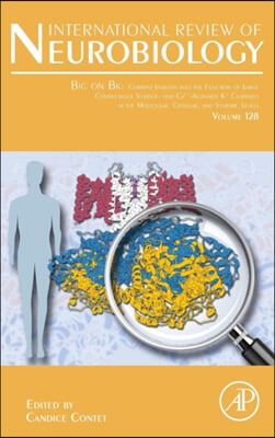 Big on Bk: Current Insights Into the Function of Large Conductance Voltage- And Ca2+- Activated K+ Channels at the Molecular, Cel