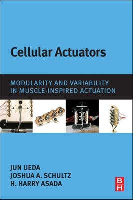 Cellular Actuators: Modularity and Variability in Muscle-Inspired Actuation