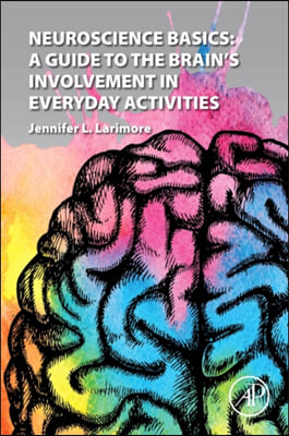 Neuroscience Basics: A Guide to the Brain&#39;s Involvement in Everyday Activities