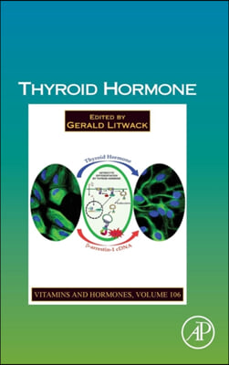 Thyroid Hormone