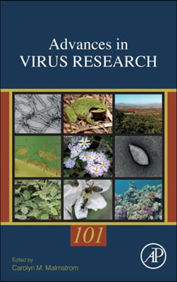 Environmental Virology and Virus Ecology