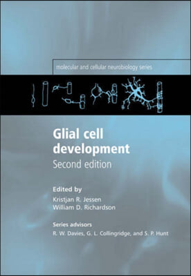 Glial Cell Development