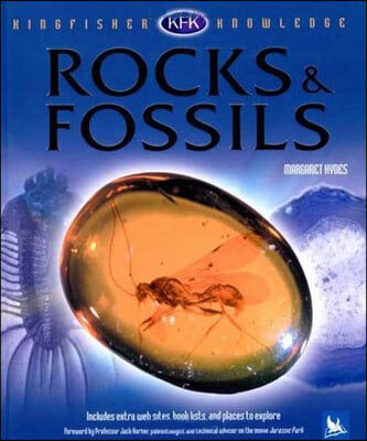 Rocks &amp; Fossils