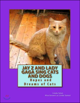 Jay Z and Lady Gaga Sing Cats and Dogs: Hopes and Dreams of Cats