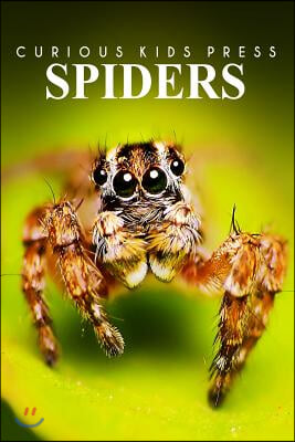 Spiders - Curious Kids Press: Kids book about animals and wildlife, Children's books 4-6