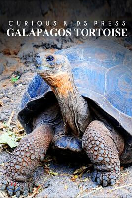 Galapagos Tortoise - Curious Kids Press: Kids book about animals and wildlife, Children&#39;s books 4-6