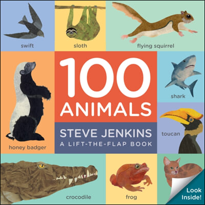 100 Animals Board Book: Lift-The-Flap