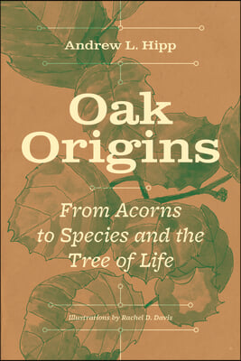 Oak Origins: From Acorns to Species and the Tree of Life