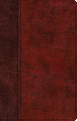 ESV Large Print Thinline Bible (Trutone, Burgundy/Red, Timeless Design)