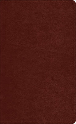 ESV Pocket Bible (Trutone, Chestnut)