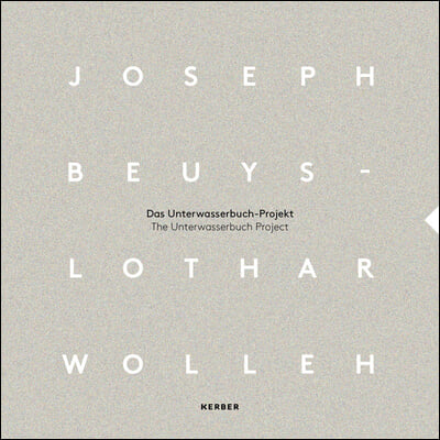 Joseph Beuys and Lothar Wolleh