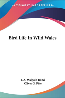 Bird Life In Wild Wales