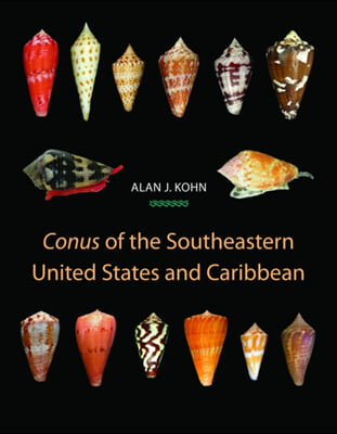 &quot;Conus&quot; of the Southeastern United States and Caribbean