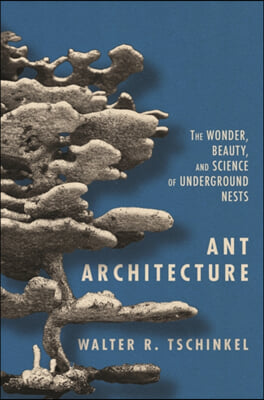 Ant Architecture: The Wonder, Beauty, and Science of Underground Nests