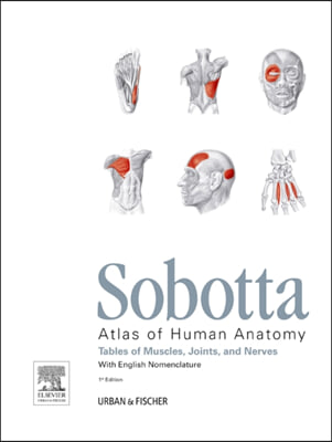 Sobotta Tables of Muscles, Joints and Nerves, English