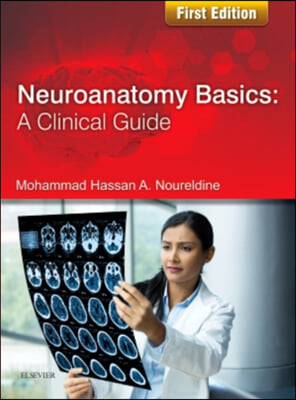 Neuroanatomy Basics