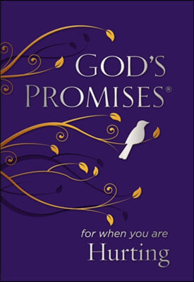 God's Promises for When You Are Hurting