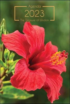 The Treasure of Wisdom - 2023 Daily Agenda - Hibiscus: A Daily Calendar, Schedule, and Appointment Book with an Inspirational Quotation or Bible Verse