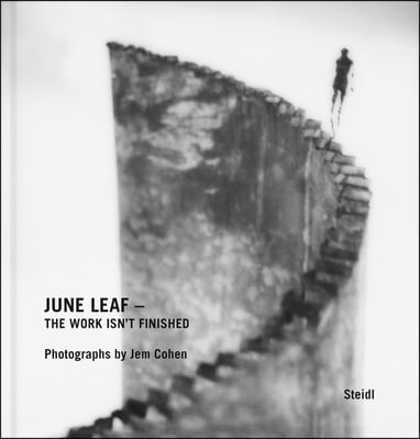 June Leaf: The Work Isn&#39;t Finished: Photographs by Jem Cohen