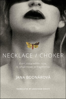 Necklace/Choker: Then, Meanwhile, Now./A Small Novel in Fragments