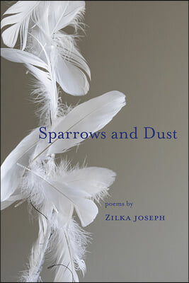 Sparrows and Dust