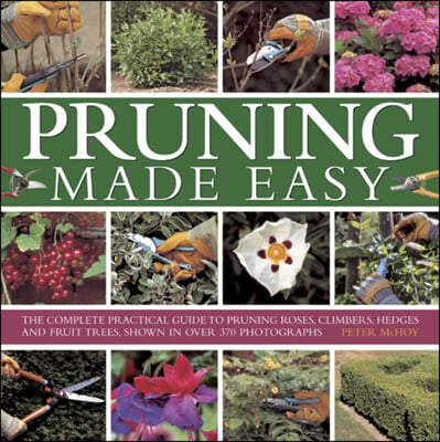 Pruning Made Easy