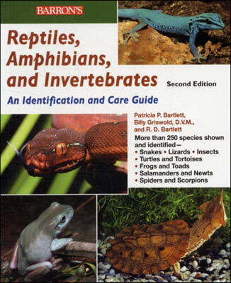 Reptiles, Amphibians, and Invertebrates