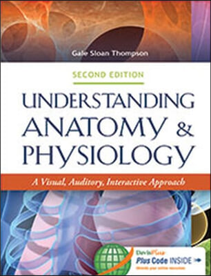 Understanding Anatomy &amp; Physiology 2e: A Visual, Auditory, Interactive Approach