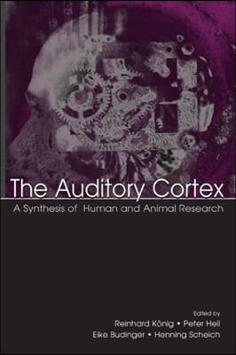 The Auditory Cortex