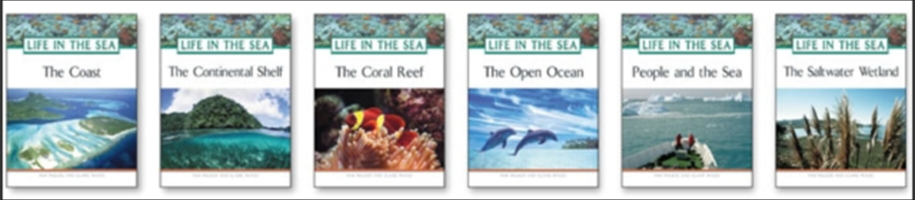 Life in the Sea Set