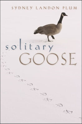 Solitary Goose