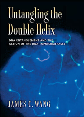 Untangling the Double Helix