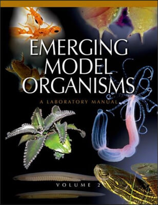 Emerging Model Organisms