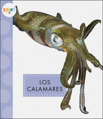 Los Calamares