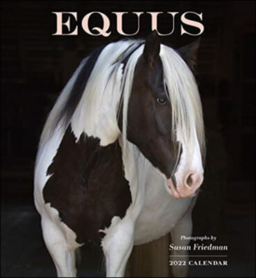 EQUUS PHOTOGRAPHS BY SUSAN FRIEDMAN 2022