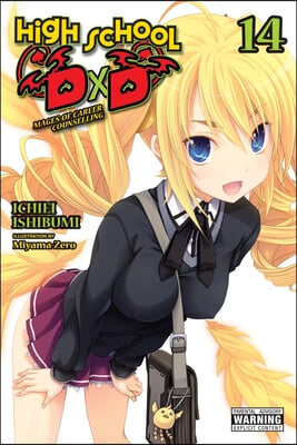 High School DXD, Vol. 14 (Light Novel): Volume 14