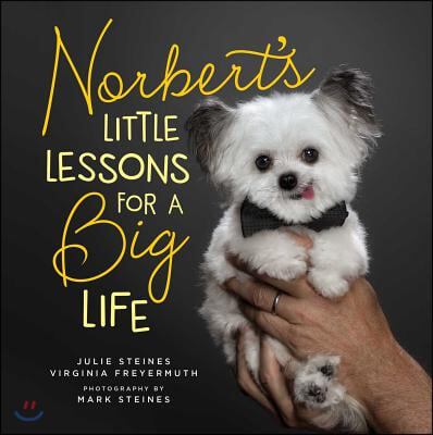 Norbert&#39;s Little Lessons for a Big Life