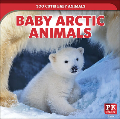 Baby Arctic Animals