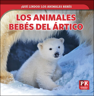 Los Animales Bebés del Ártico (Baby Arctic Animals)