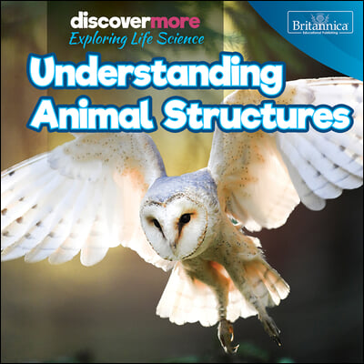 Understanding Animal Structures