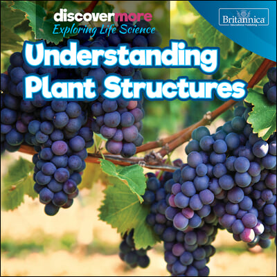 Understanding Plant Structures