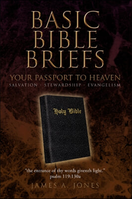 Basic Bible Briefs