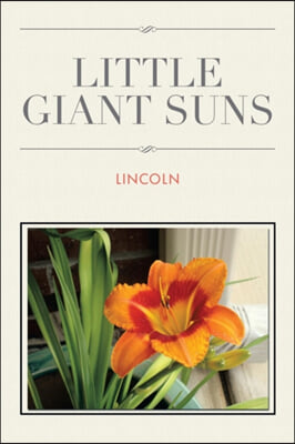 Little Giant Suns