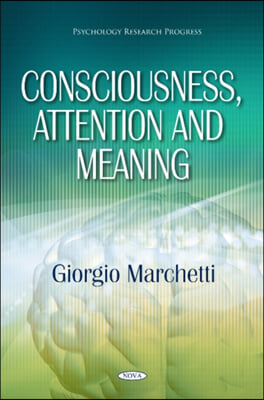 Consciousness, Attention &amp; Meaning