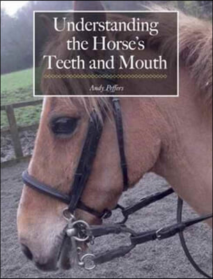 Understanding the Horse&#39;s Teeth and Mouth