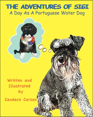 A Day as a Portuguese Water Dog